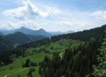 Erholungsraum Wald Foto